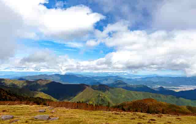 高考不理想，怎么办？阳光使者国际派遣生圆你留学梦